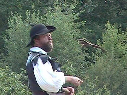 Falkner bei der Arbeit